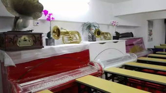 全新鋼琴批發(fā)與零售 探索121型以上水晶及彩色鋼琴的魅力